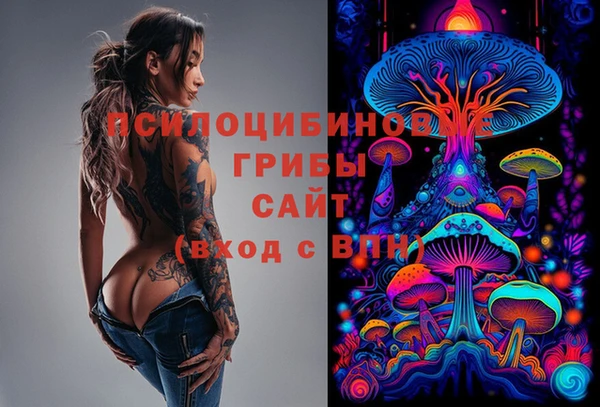 мяу мяу мука Алексеевка