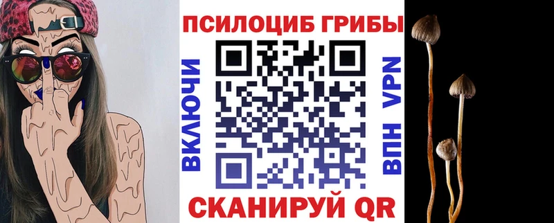 кракен ONION  закладка  Алексеевка  Галлюциногенные грибы прущие грибы 